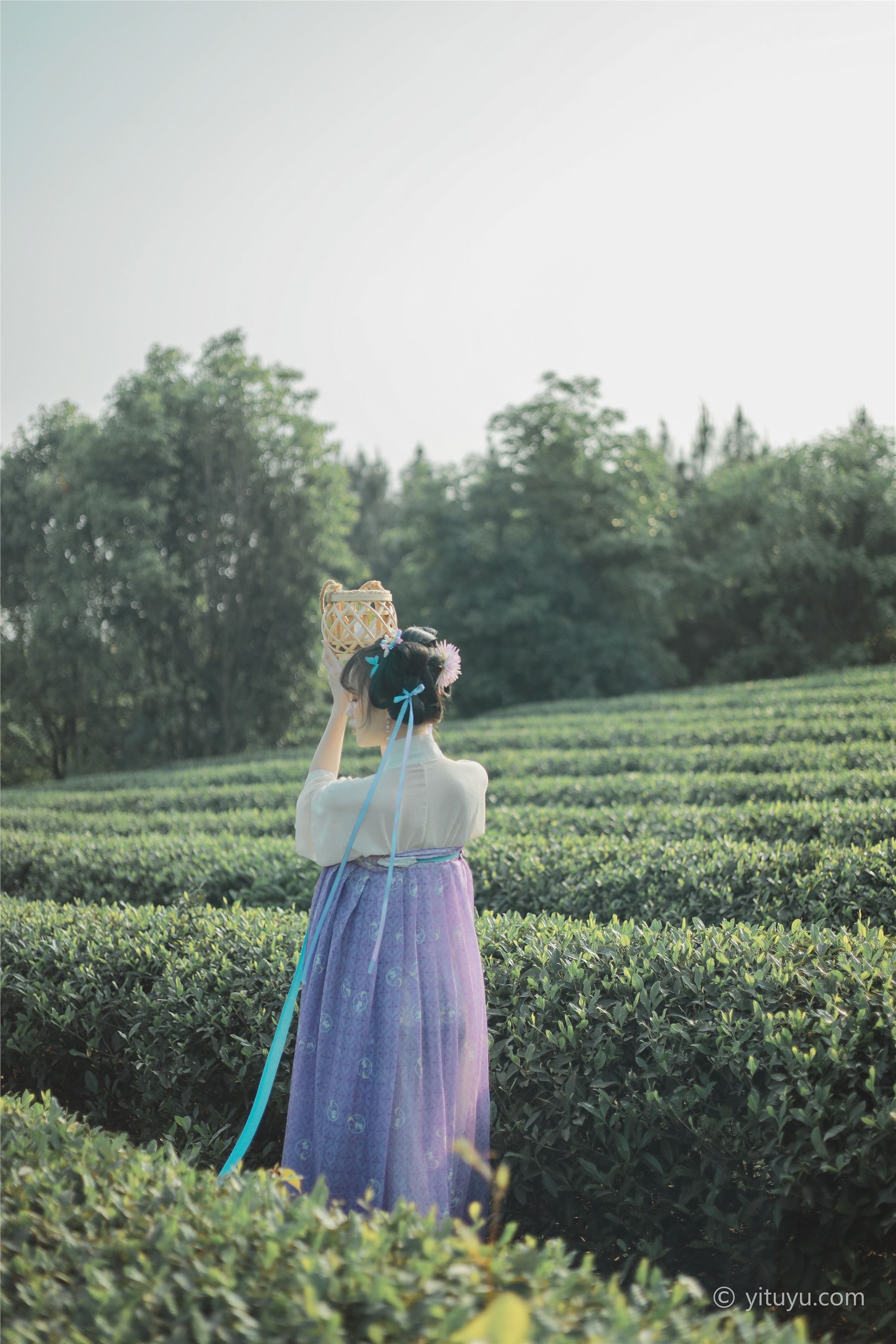 YITUYU艺图语  2021.06.02 青青白茶 柚子